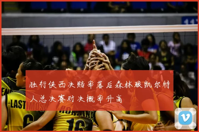 独行侠西决赔率落后森林狼凯尔特人总决赛对决概率升高