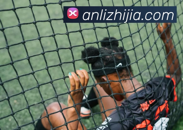 三亿体育(中国)官方网站发展历程